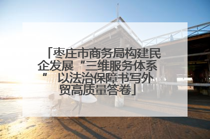 枣庄市商务局构建民企发展“三维服务体系” 以法治保障书写外贸高质量答卷