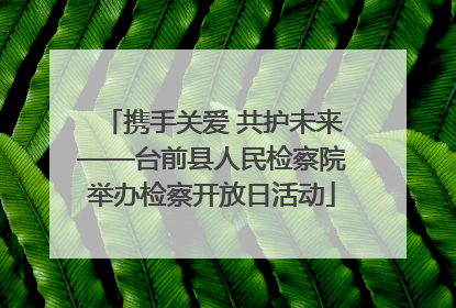 携手关爱 共护未来——台前县人民检察院举办检察开放日活动