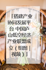 搭建产业协同发展平台 中国庐山低空经济产业联盟成立（组图｜视频）