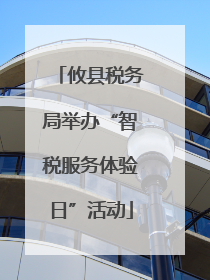 攸县税务局举办“智税服务体验日”活动