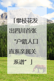 攀枝花发出四川首张“户籍人口直系亲属关系谱”