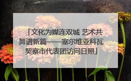 文化为媒连双城 艺术共舞谱新篇——塞尔维亚科瓦契察市代表团访问日照