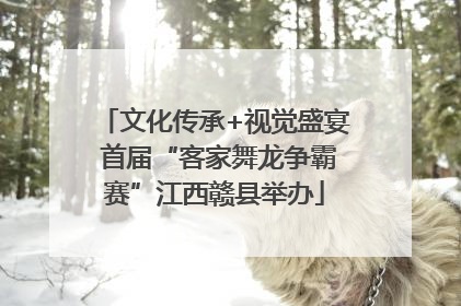 文化传承+视觉盛宴 首届“客家舞龙争霸赛”江西赣县举办
