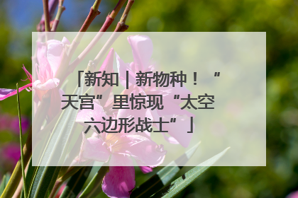 新知｜新物种！“天宫”里惊现“太空六边形战士”