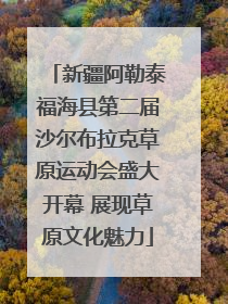 新疆阿勒泰福海县第二届沙尔布拉克草原运动会盛大开幕 展现草原文化魅力