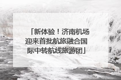 新体验！济南机场迎来首批航旅融合国际中转航线旅游团