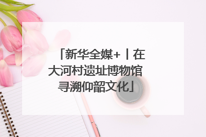 新华全媒+丨在大河村遗址博物馆寻溯仰韶文化