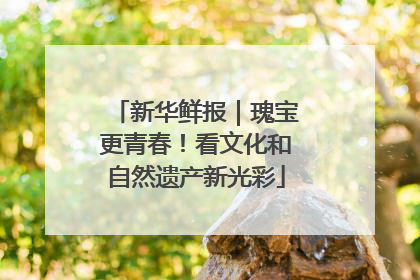 新华鲜报｜瑰宝更青春！看文化和自然遗产新光彩