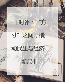 时评：“方寸”之间，撬动民生与经济新局