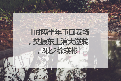 时隔半年重回赛场，樊振东上演大逆转，3比2徐瑛彬