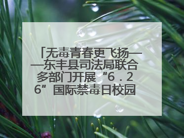 无毒青春更飞扬——东丰县司法局联合多部门开展“6．26”国际禁毒日校园宣讲活动