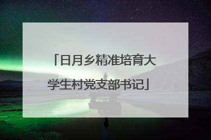 日月乡精准培育大学生村党支部书记