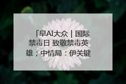 早AI大众｜国际禁毒日 致敬禁毒英雄；中情局：伊关键核设施被摧毁