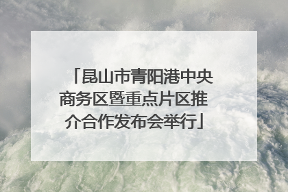 昆山市青阳港中央商务区暨重点片区推介合作发布会举行