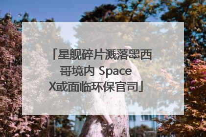 星舰碎片溅落墨西哥境内 SpaceX或面临环保官司