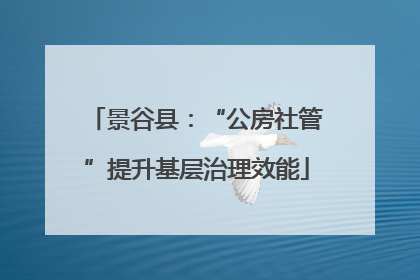 景谷县：“公房社管”提升基层治理效能