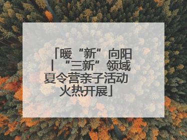 暖“新”向阳丨“三新”领域夏令营亲子活动火热开展