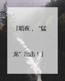 暗夜，“猛龙”出击！
