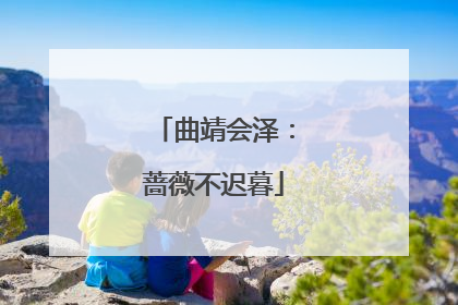 曲靖会泽：蔷薇不迟暮