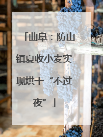 曲阜：防山镇夏收小麦实现烘干“不过夜”