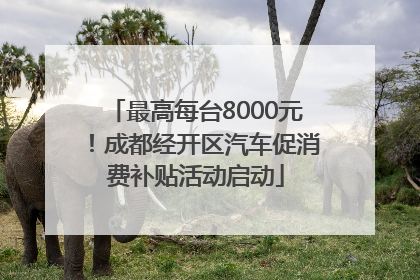 最高每台8000元！成都经开区汽车促消费补贴活动启动