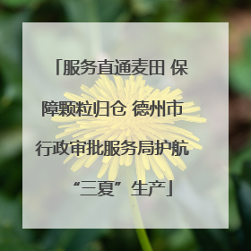 服务直通麦田 保障颗粒归仓 德州市行政审批服务局护航“三夏”生产