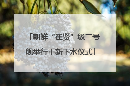 朝鲜“崔贤”级二号舰举行重新下水仪式