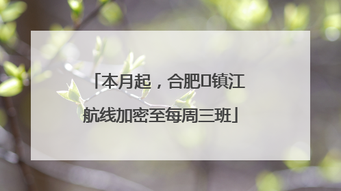 本月起，合肥⇋镇江航线加密至每周三班