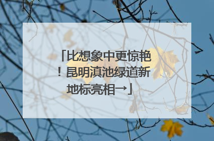 比想象中更惊艳！昆明滇池绿道新地标亮相→