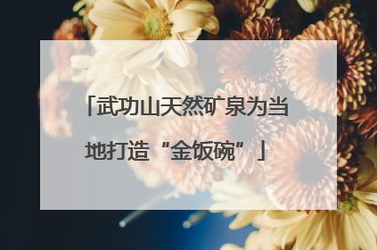 武功山天然矿泉为当地打造“金饭碗”