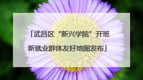 武昌区“新兴学院”开班 新就业群体友好地图发布