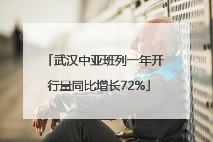 武汉中亚班列一年开行量同比增长72%