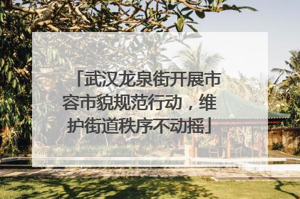 武汉龙泉街开展市容市貌规范行动，维护街道秩序不动摇