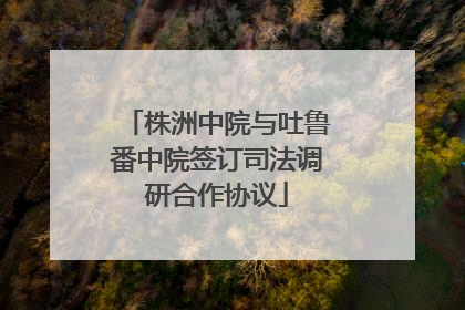 株洲中院与吐鲁番中院签订司法调研合作协议