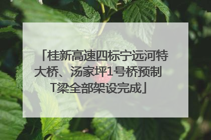 桂新高速四标宁远河特大桥、汤家坪1号桥预制T梁全部架设完成