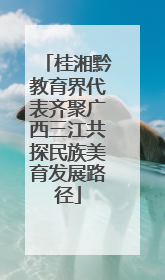 桂湘黔教育界代表齐聚广西三江共探民族美育发展路径