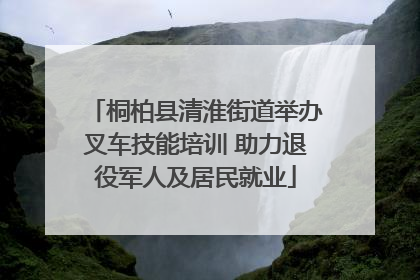 桐柏县清淮街道举办叉车技能培训 助力退役军人及居民就业