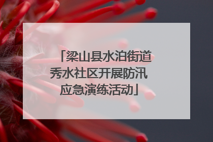 梁山县水泊街道秀水社区开展防汛应急演练活动