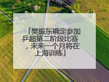 樊振东确定参加乒超第二阶段比赛，未来一个月将在上海训练
