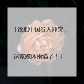 欲把中国卷入冲突，这家媒体露馅了！