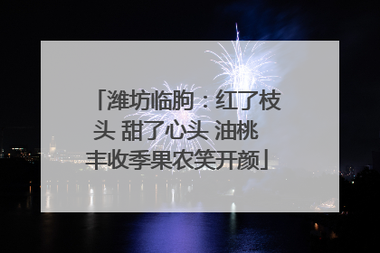 潍坊临朐：红了枝头 甜了心头 油桃丰收季果农笑开颜