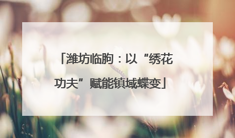 潍坊临朐：以“绣花功夫”赋能镇域蝶变