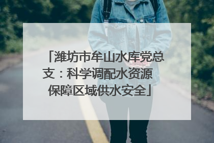 潍坊市牟山水库党总支：科学调配水资源 保障区域供水安全