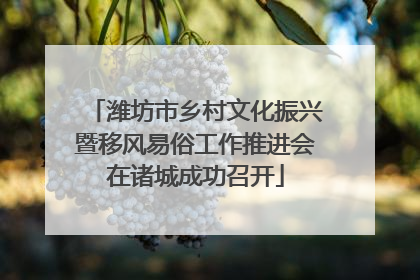 潍坊市乡村文化振兴暨移风易俗工作推进会在诸城成功召开