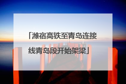 潍宿高铁至青岛连接线青岛段开始架梁