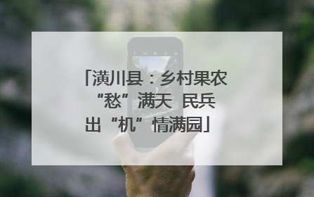 潢川县：乡村果农“愁”满天  民兵出“机”情满园