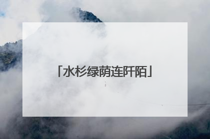 水杉绿荫连阡陌