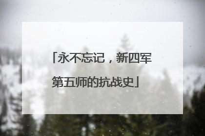 永不忘记，新四军第五师的抗战史
