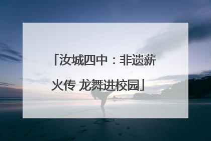 汝城四中：非遗薪火传 龙舞进校园