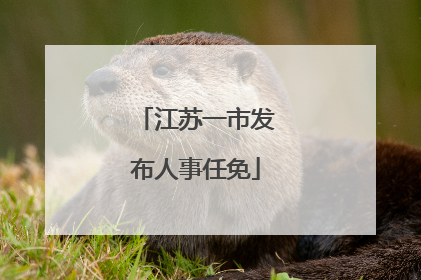 江苏一市发布人事任免